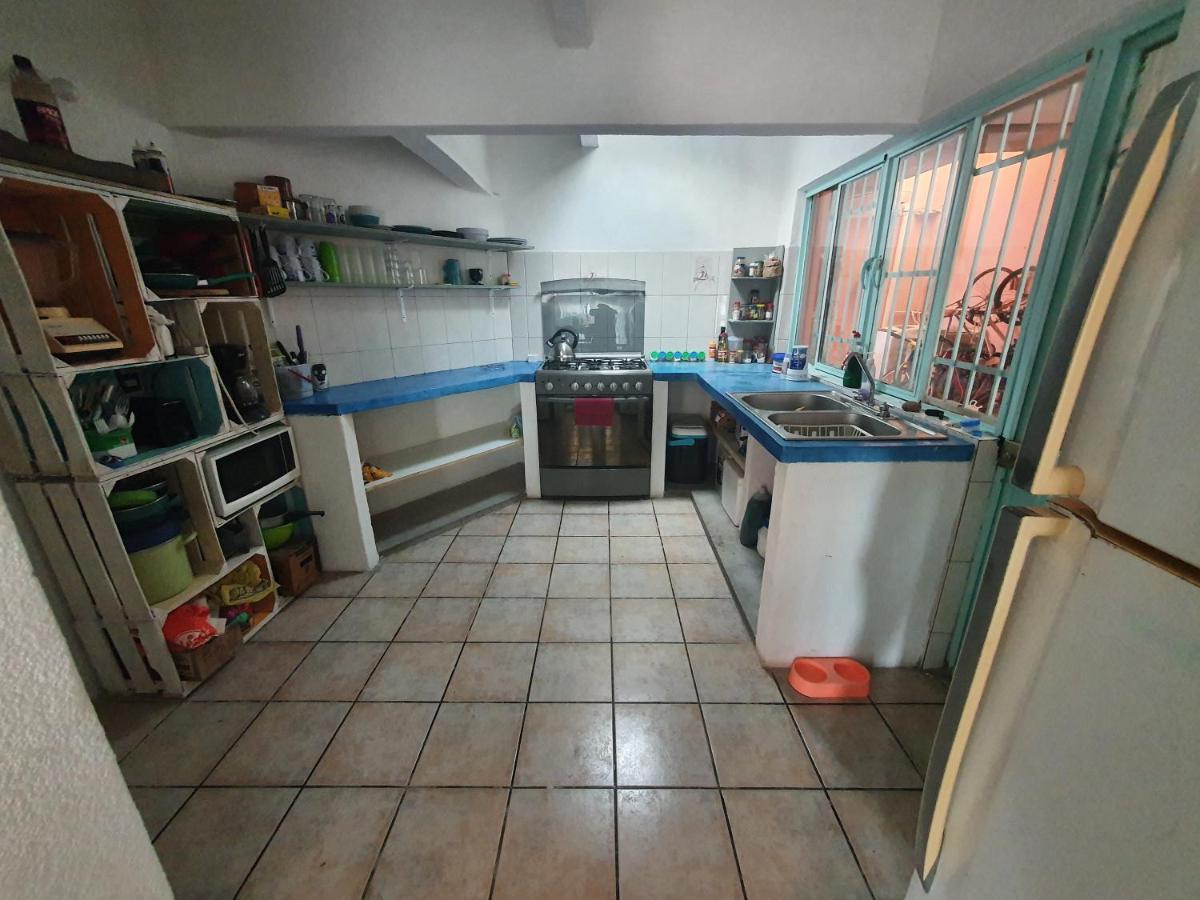 Nomadas Hostel 라파스 외부 사진